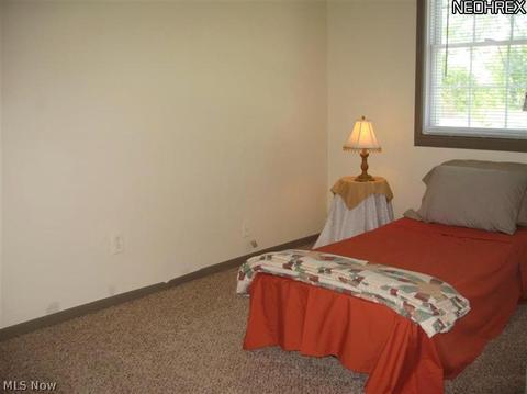 9026 Wilverne Dr, Windham, OH 44288 photo 9