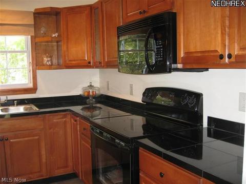9026 Wilverne Dr, Windham, OH 44288 photo 7