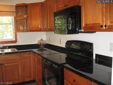 9026 Wilverne Dr, Windham, OH 44288 photo 7