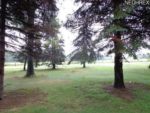 8482 Oberlin Rd, Elyria, OH 44035 photo 2