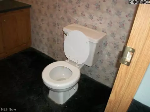 9134 W Southview, Minerva, OH 44657 photo 8
