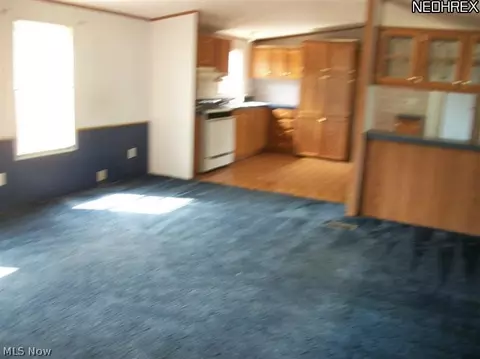 9134 W Southview, Minerva, OH 44657 photo 3