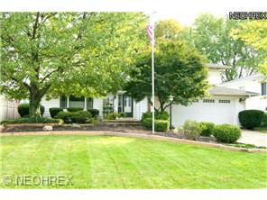 42991 Galaxy Dr, Elyria, OH 44035 photo 1