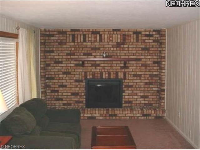 1420 Park Ave, Elyria, OH 44035 photo 14