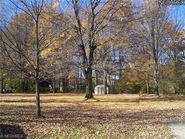 5560 West Blvd, Youngstown, OH 44512 photo 6