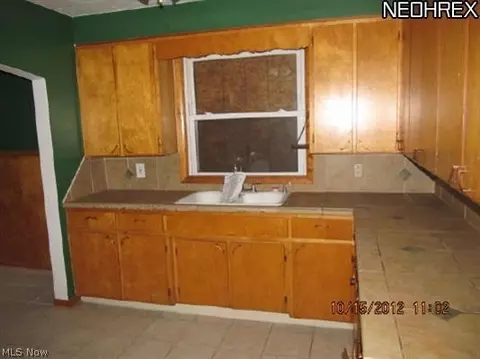 229 Howe St, Elyria, OH 44035 photo 4
