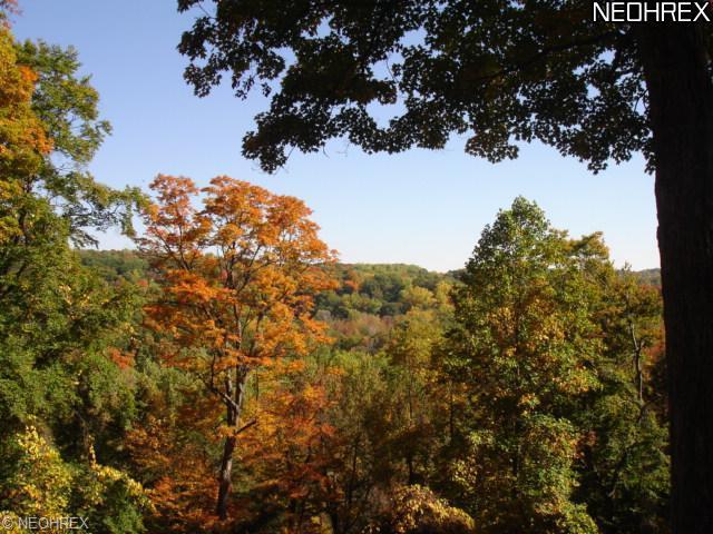 9910 Mitchells Mill Rd, Mentor, OH 44060 photo 2