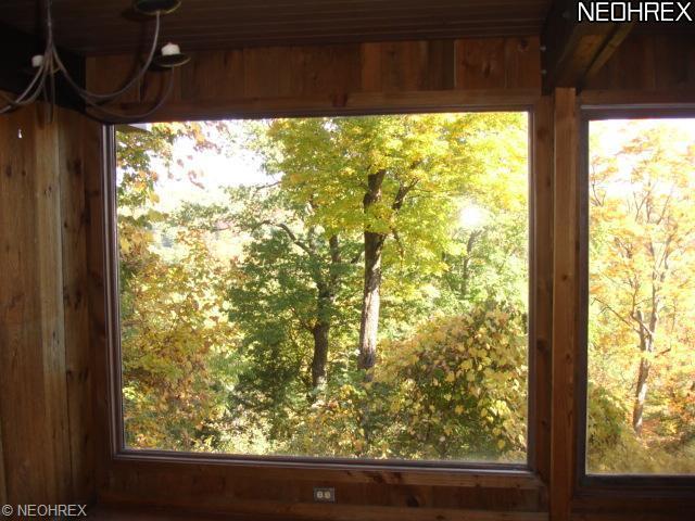 9910 Mitchells Mill Rd, Mentor, OH 44060 photo 14
