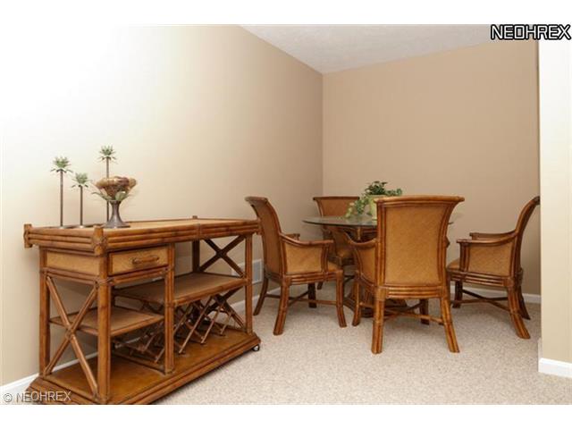1702 Pine Dr, Avon, OH 44011 photo 10