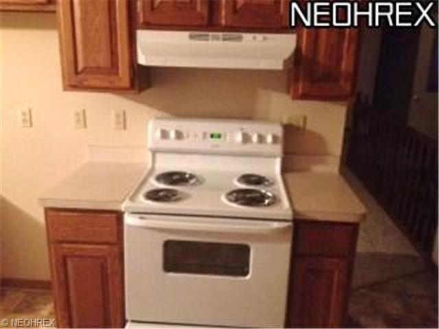182 Taylor Blvd, Lagrange, OH 44050 photo 6