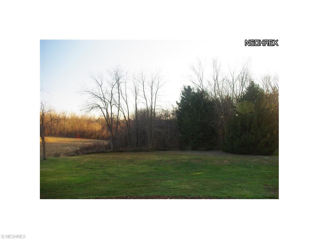 40201 Applegate Rd, Lisbon, OH 44432 photo 16