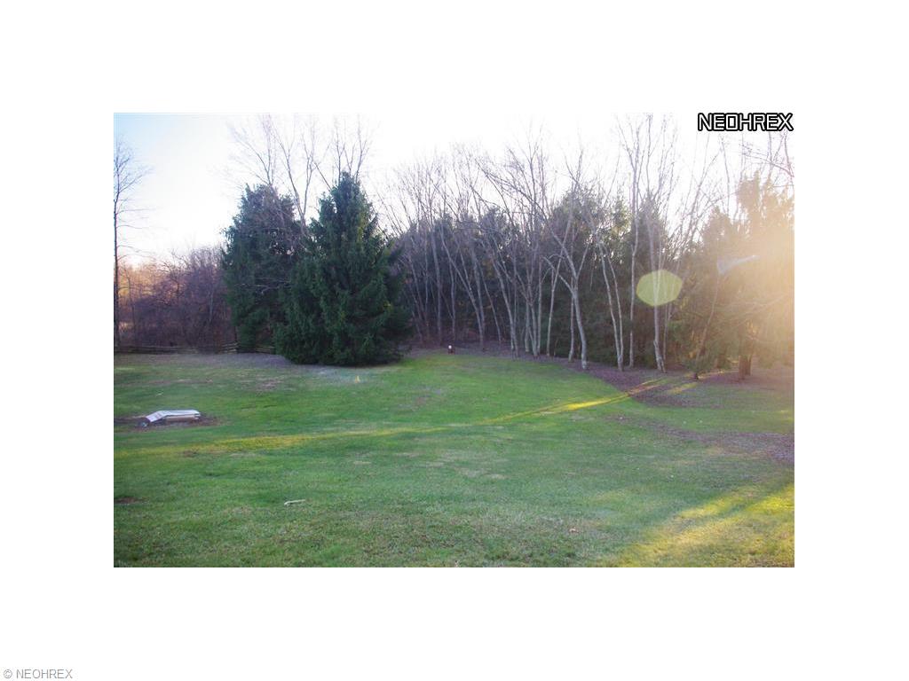 40201 Applegate Rd, Lisbon, OH 44432 photo 17