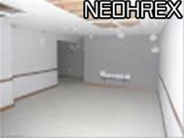4825 Timberview Dr, Lorain, OH 44053 photo 9