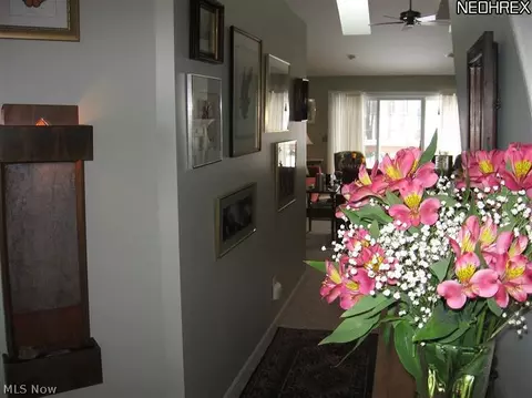 457 Shadowbrook Cir, Aurora, OH 44202 photo 6