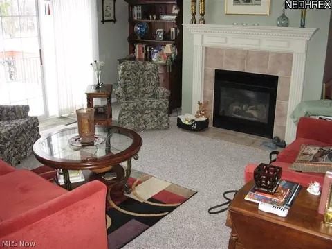 457 Shadowbrook Cir, Aurora, OH 44202 photo 16