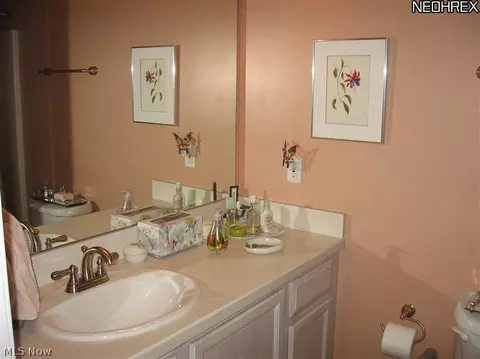 457 Shadowbrook Cir, Aurora, OH 44202 photo 9