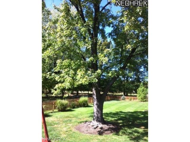 36877 Stevens Blvd, Willoughby, OH 44094 photo 23