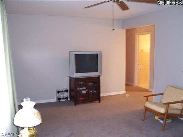 413 Tudor Ln, Youngstown, OH 44512 photo 5