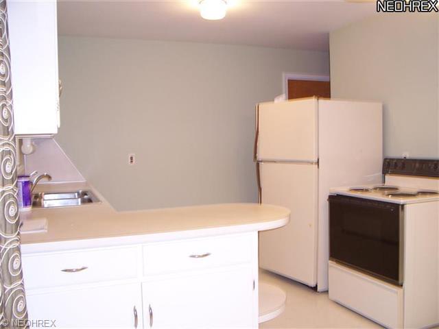 413 Tudor Ln, Youngstown, OH 44512 photo 3