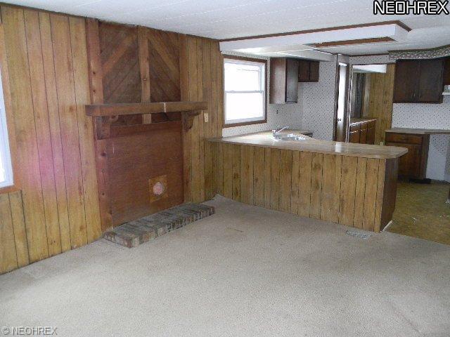 54 Perch Ct, Lagrange, OH 44050 photo 7
