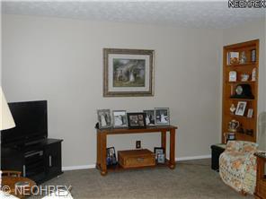 6955 Colleen Dr, Youngstown, OH 44512 photo 6