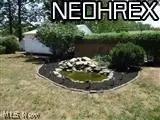 407 Clarmont Rd, Willowick, OH 44095 photo 4