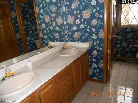 32485 Shadowbrook Dr, Solon, OH 44139 photo 14