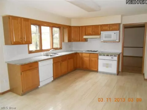 32485 Shadowbrook Dr, Solon, OH 44139 photo 4