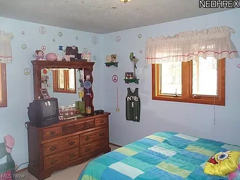 883 Eileen Dr, Macedonia, OH 44056 photo 8