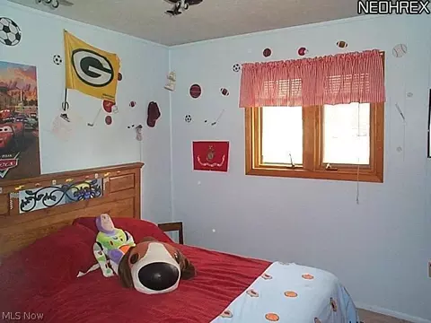 883 Eileen Dr, Macedonia, OH 44056 photo 6