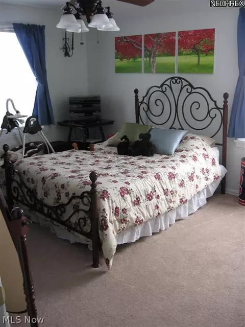 28518 Forest Rd, Willowick, OH 44095 photo 16