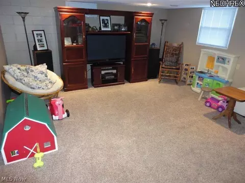 552 Darrow Rd, Akron, OH 44305 photo 21
