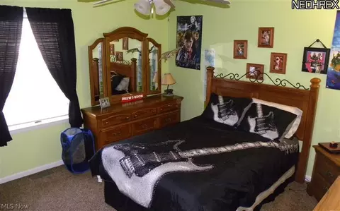17161 Burrows Rd, Thompson, OH 44086 photo 8