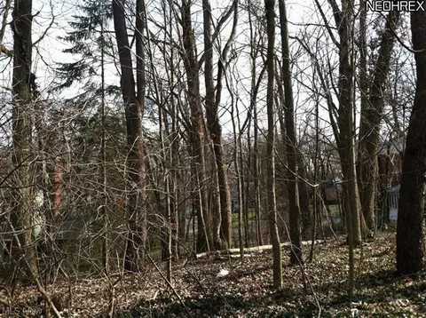 650 Ecton Rd, Akron, OH 44303 photo 22