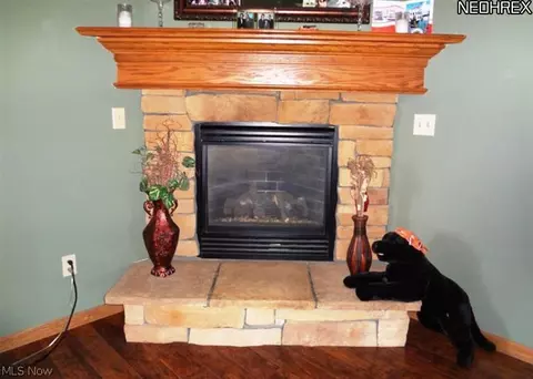 16855 Wheeler Rd, Lagrange, OH 44050 photo 11