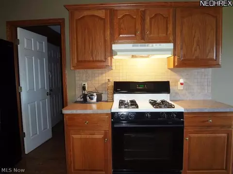 16855 Wheeler Rd, Lagrange, OH 44050 photo 15