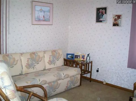 28865 Hazel Ave, Wickliffe, OH 44092 photo 8