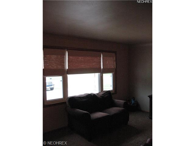948 Collins, Youngstown, OH 44515 photo 6
