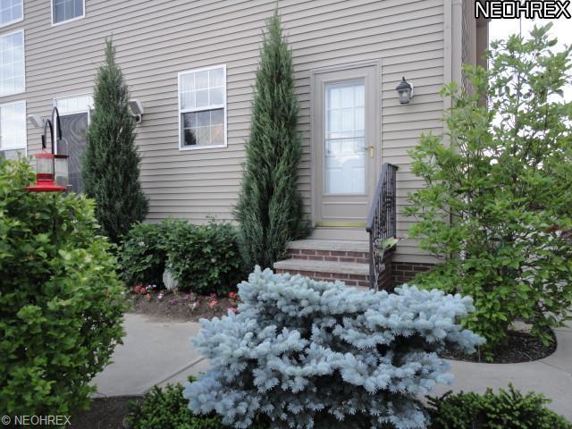 3133 Willowbrook Dr, Aurora, OH 44202 photo 24