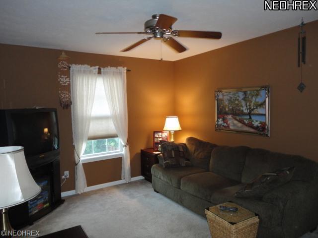 3133 Willowbrook Dr, Aurora, OH 44202 photo 10