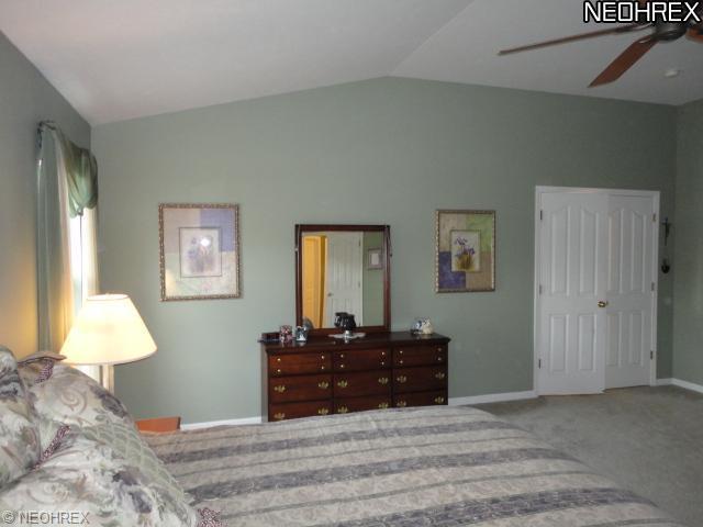 3133 Willowbrook Dr, Aurora, OH 44202 photo 15