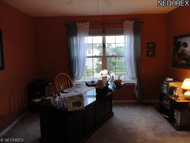 3133 Willowbrook Dr, Aurora, OH 44202 photo 13