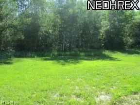 9585 State Route 700, Windham, OH 44288 photo 3