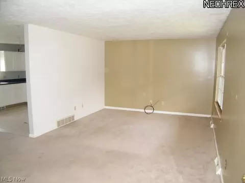 287 Stable Dr, Lagrange, OH 44050 photo 4
