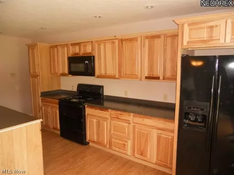 230 Forest Park Dr, Lagrange, OH 44050 photo 8