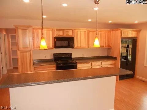 230 Forest Park Dr, Lagrange, OH 44050 photo 5