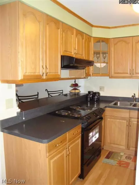 68 Valley Forge Ln, Elyria, OH 44035 photo 4