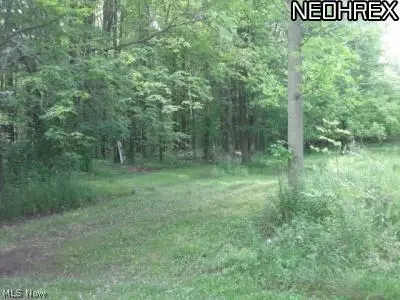 306 E Beech St, Jefferson, OH 44047 photo 10