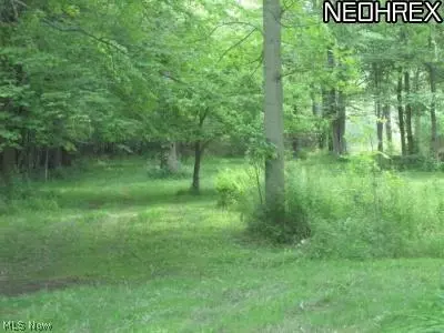 306 E Beech St, Jefferson, OH 44047 photo 9