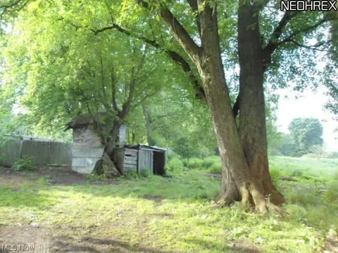 2310 Wright Rd, Akron, OH 44320 photo 6
